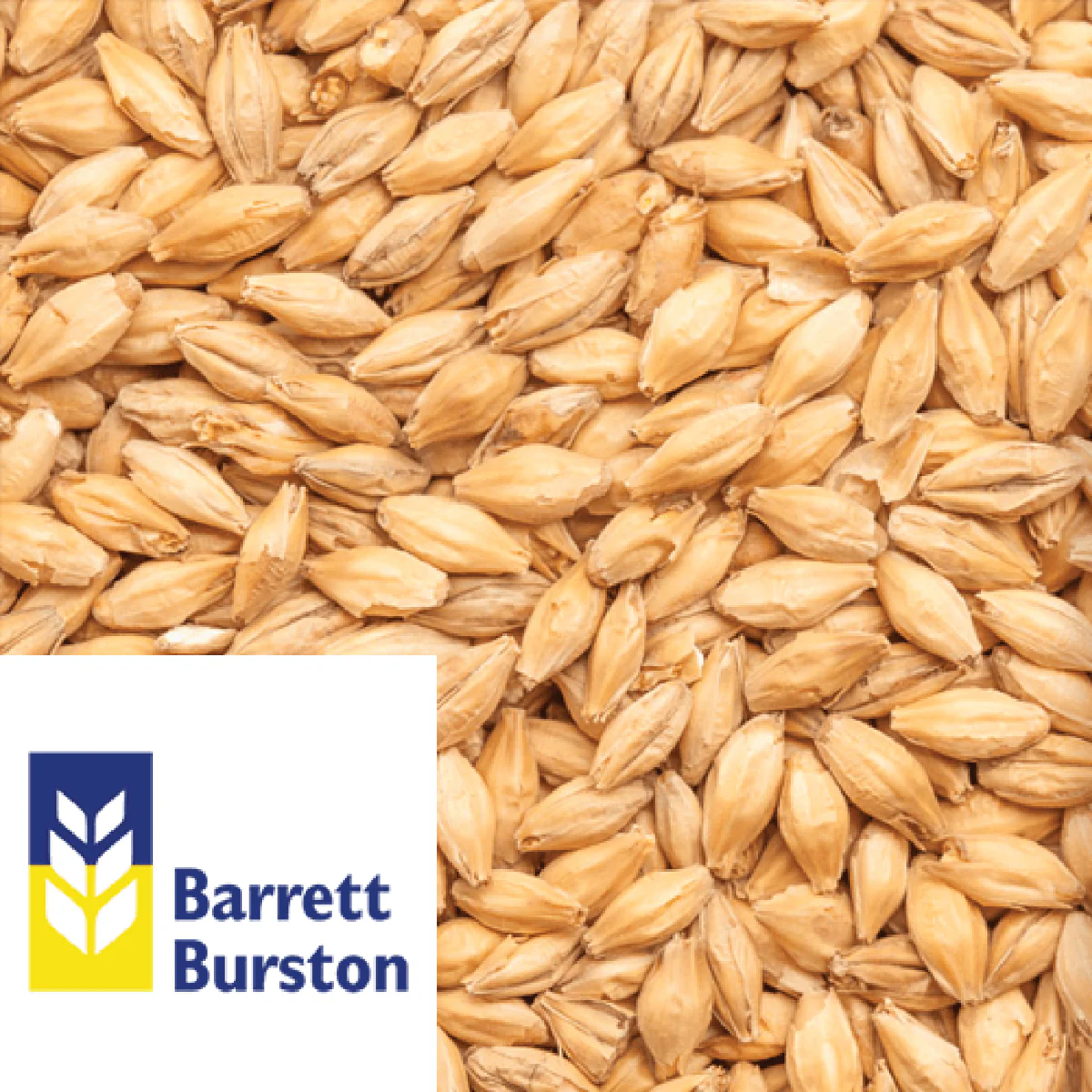 25kg SACK - Crystal Light (Crystal) - Barrett Burston (AUS) - Image 2