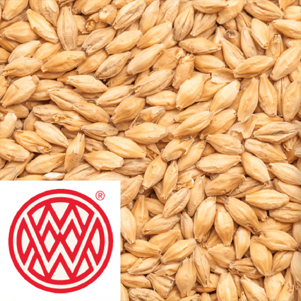 25kg SACK - Floor Malted Bohemian Pilsner - Weyermann (GER) - Image 2