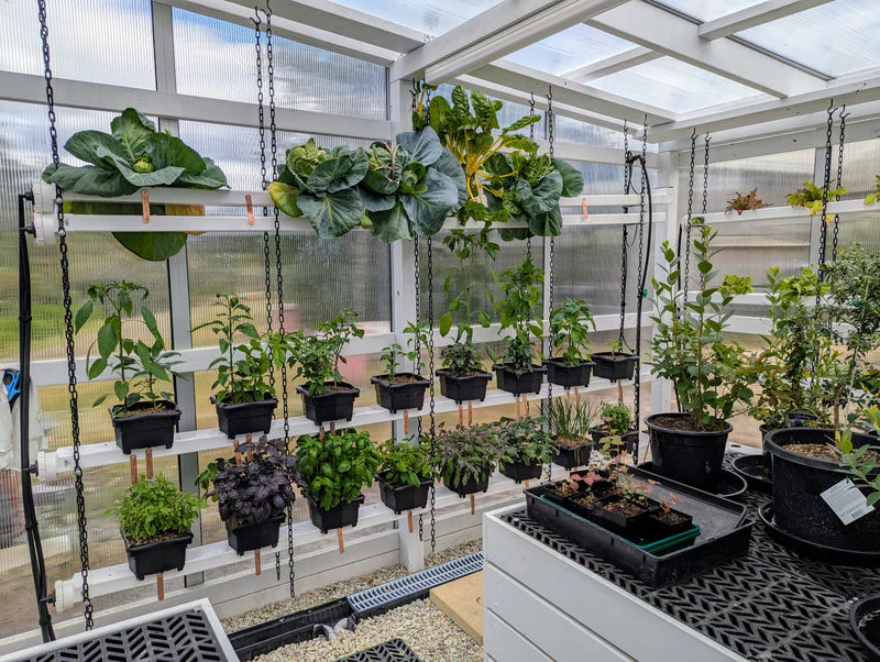 Hooch Multi-Bucket Hydroponic System (with legs) (12 units) - Image 3