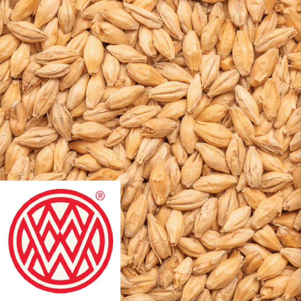 25kg SACK - Pale Ale Malt - Weyermann (GER) - Image 2
