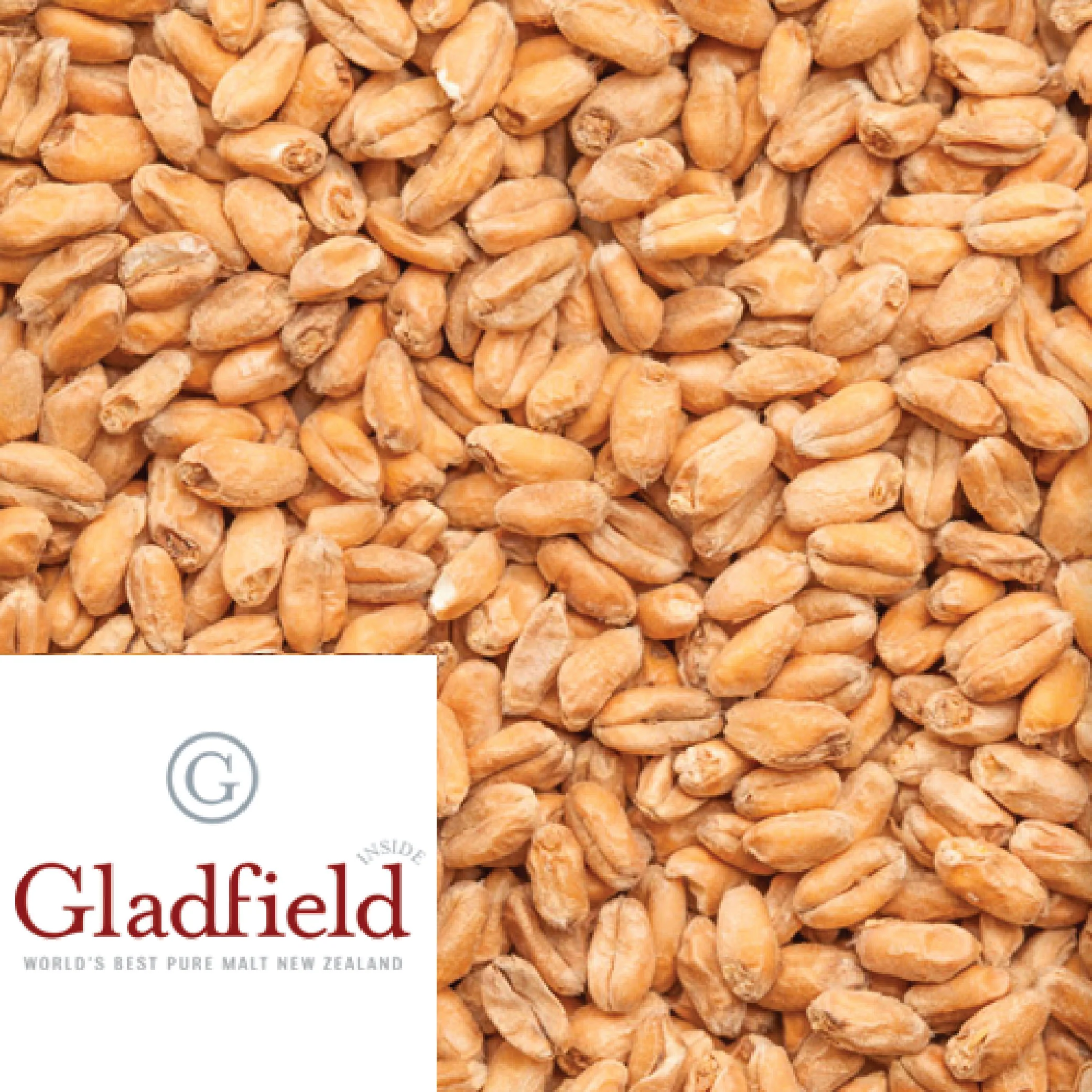 Wheat Malt - Gladfield (NZ) - per kg - Image 2